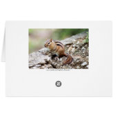 Chipmunk Cards (Back Horizontal)