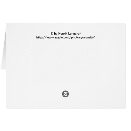 Chipmunk Cards (Back Horizontal)