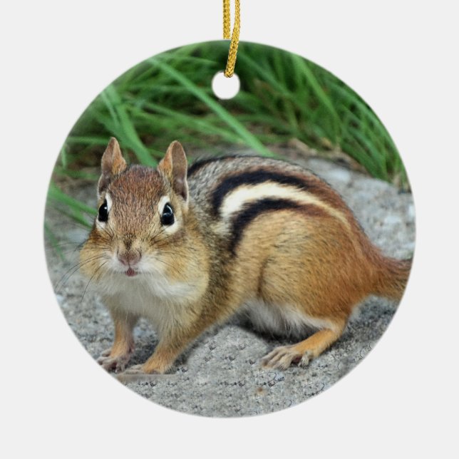 Chipmunk Ceramic Ornament (Front)
