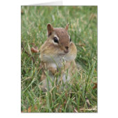 Chipmunk Cheeks Card (Front)