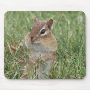 Chipmunk Cheeks Mouse Pad