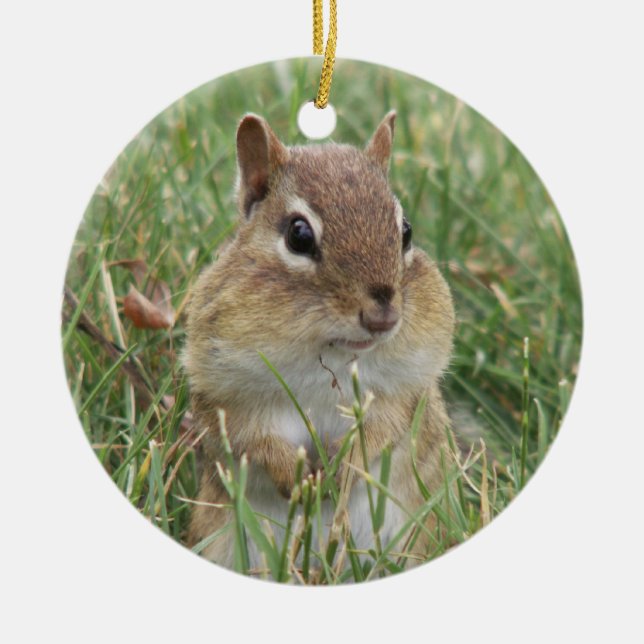 Chipmunk Cheeks Ornament (Front)