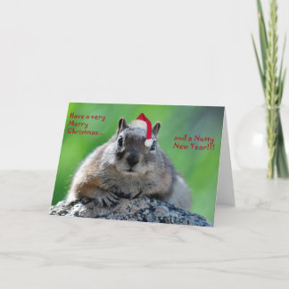Chipmunk Christmas card
