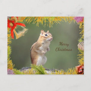 Chipmunk Christmas Card