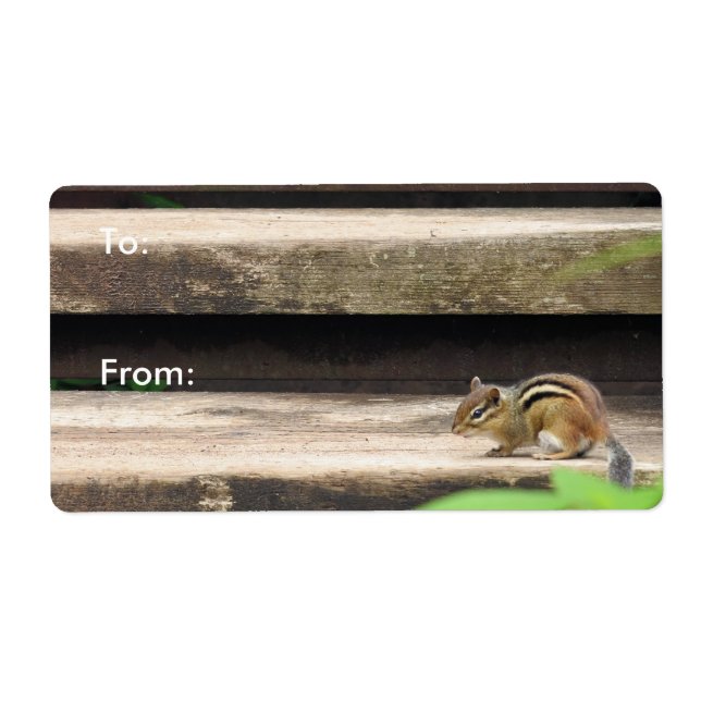Chipmunk Climbing Stairs Label (Front)