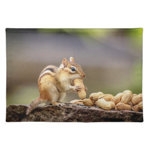 Chipmunk eating a peanut cloth placemat