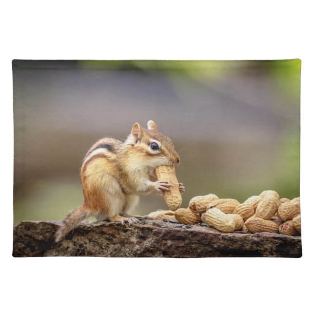 Chipmunk eating a peanut cloth placemat (Front)