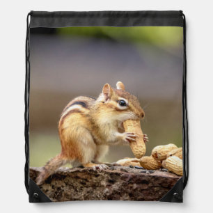 Chipmunk eating a peanut drawstring bag