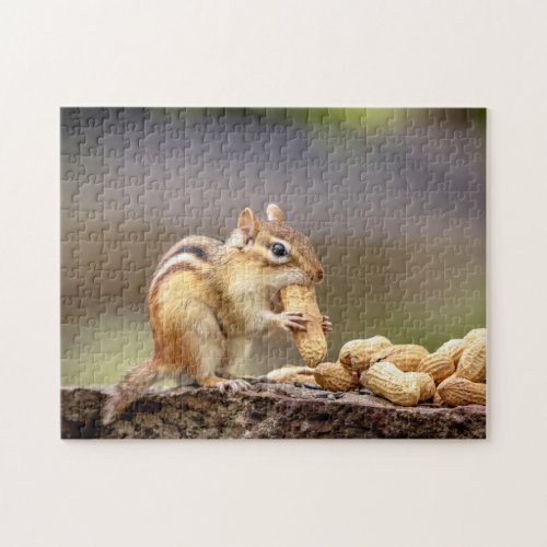 Chipmunk eating a peanut jigsaw puzzle
