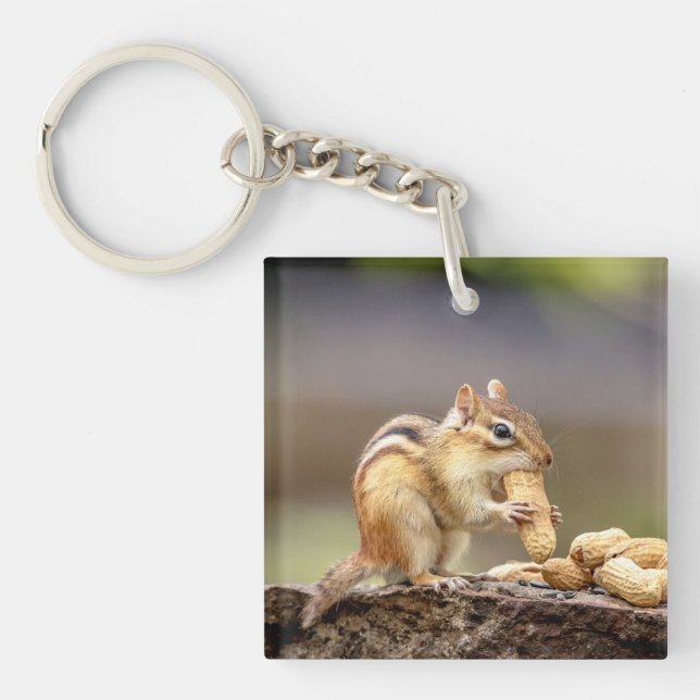 Chipmunk eating a peanut keychain (Front)