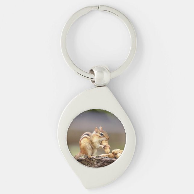 Chipmunk eating a peanut keychain (Front)