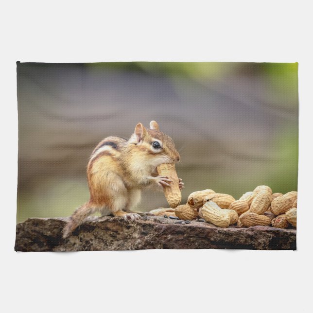 Chipmunk eating a peanut kitchen towel (Horizontal)