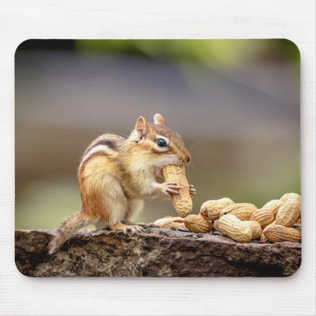 Chipmunk eating a peanut mouse pad (Front)