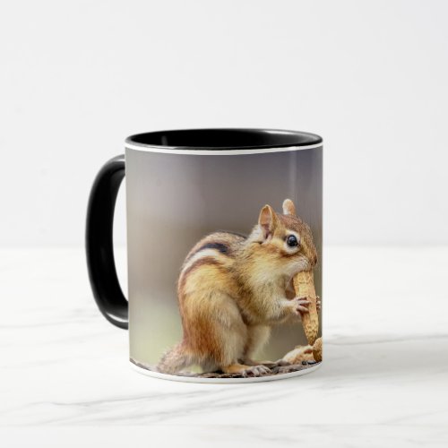 Chipmunk eating a peanut mug