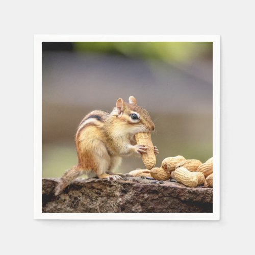 Chipmunk eating a peanut paper napkins