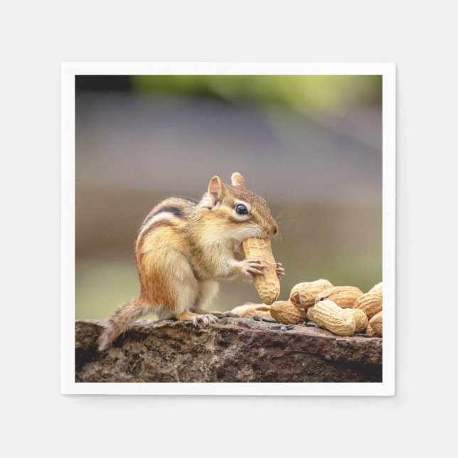 Chipmunk eating a peanut paper napkins (Front)