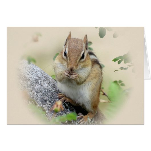 Chipmunk Eating Cards (Front Horizontal)