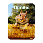 Chipmunk Eating Corn Magnet at Zazzle