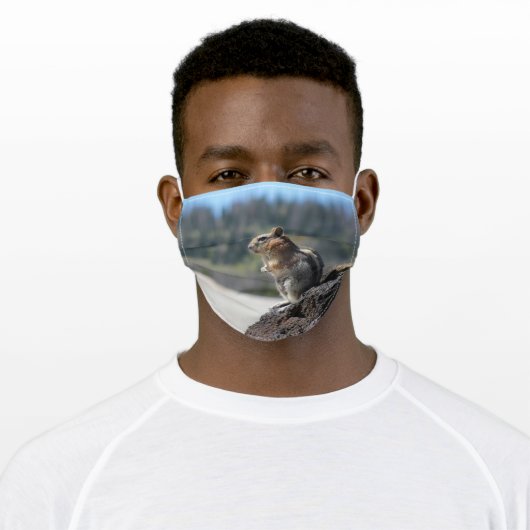 Chipmunk face mask (Worn)