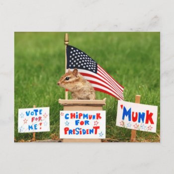 Chipmunk For President Postcard by Meg_Stewart at Zazzle