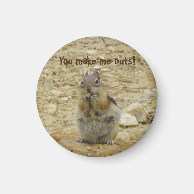 Chipmunk Funny Magnet (Front)