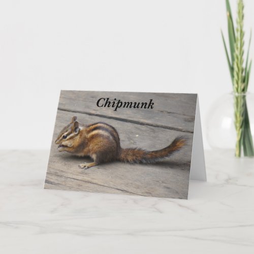 Chipmunk Greeting Card
