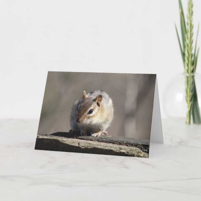 Chipmunk Greeting Card (Front)