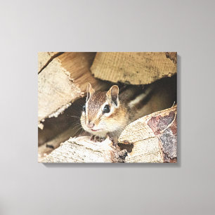 Chipmunk in a wood pile canvas print