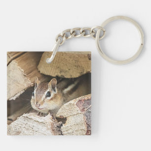 Chipmunk in a wood pile keychain