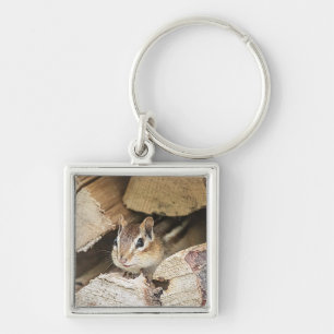 Chipmunk in a wood pile keychain
