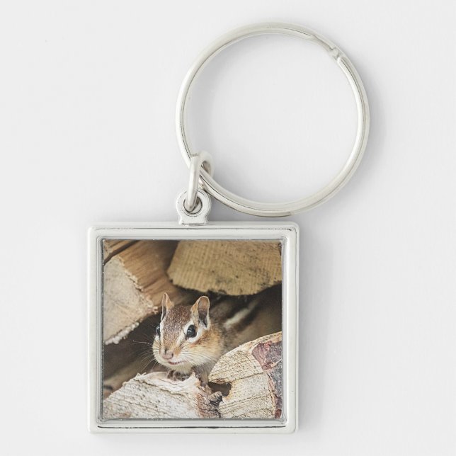 Chipmunk in a wood pile keychain (Front)