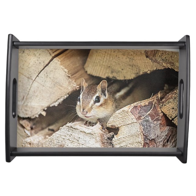 Chipmunk in a wood pile serving tray (Front)