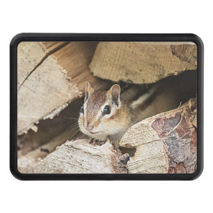 Chipmunk in a wood pile trailer hitch cover