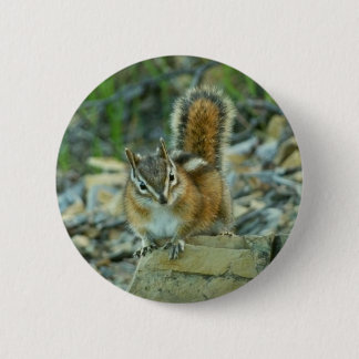 Chipmunk in Glacier National Park Button