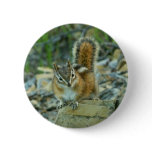 Chipmunk in Glacier National Park Button