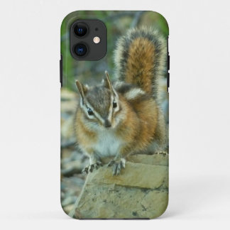 Chipmunk in Glacier National Park iPhone 11 Case