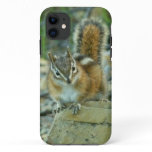 Chipmunk in Glacier National Park iPhone 11 Case