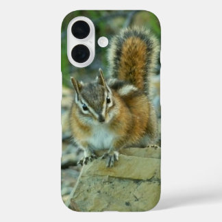 Chipmunk in Glacier National Park iPhone 16 Case