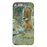 Chipmunk in Glacier National Park Barely There iPhone 6 Case