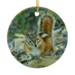 Chipmunk in Glacier National Park Ceramic Ornament