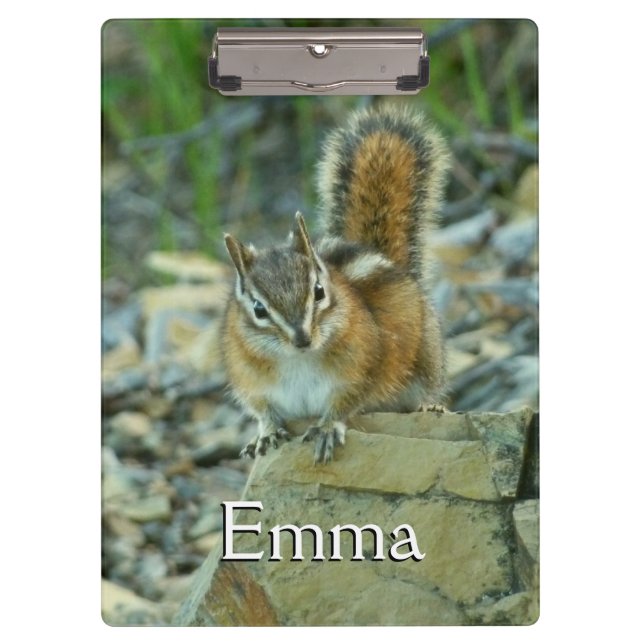 Chipmunk in Glacier National Park Clipboard (Front)