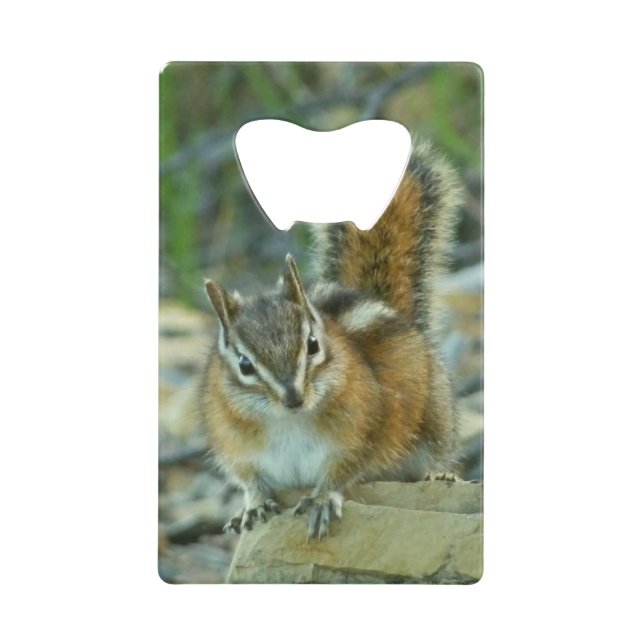 Chipmunk in Glacier National Park Credit Card Bottle Opener (Front)