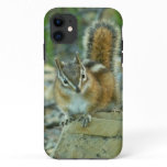 Chipmunk in Glacier National Park I iPhone 11 Case