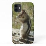 Chipmunk in Glacier National Park II iPhone 11 Case