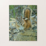 Chipmunk in Glacier National Park Jigsaw Puzzle