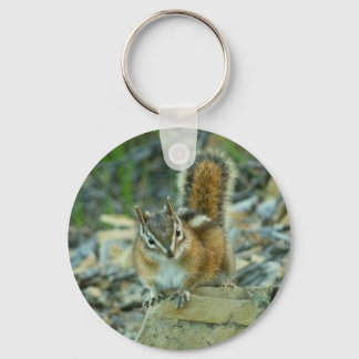 Chipmunk in Glacier National Park Keychain