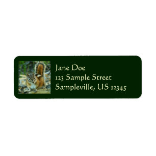 Chipmunk in Glacier National Park Label