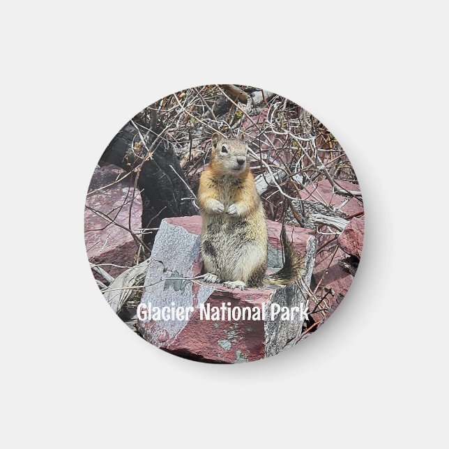 Chipmunk in Glacier National Park Magnet (Front)