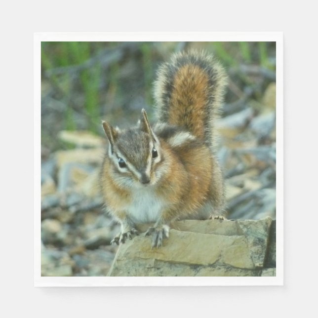 Chipmunk in Glacier National Park Napkins (Front)
