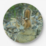 Chipmunk in Glacier National Park Paper Plates